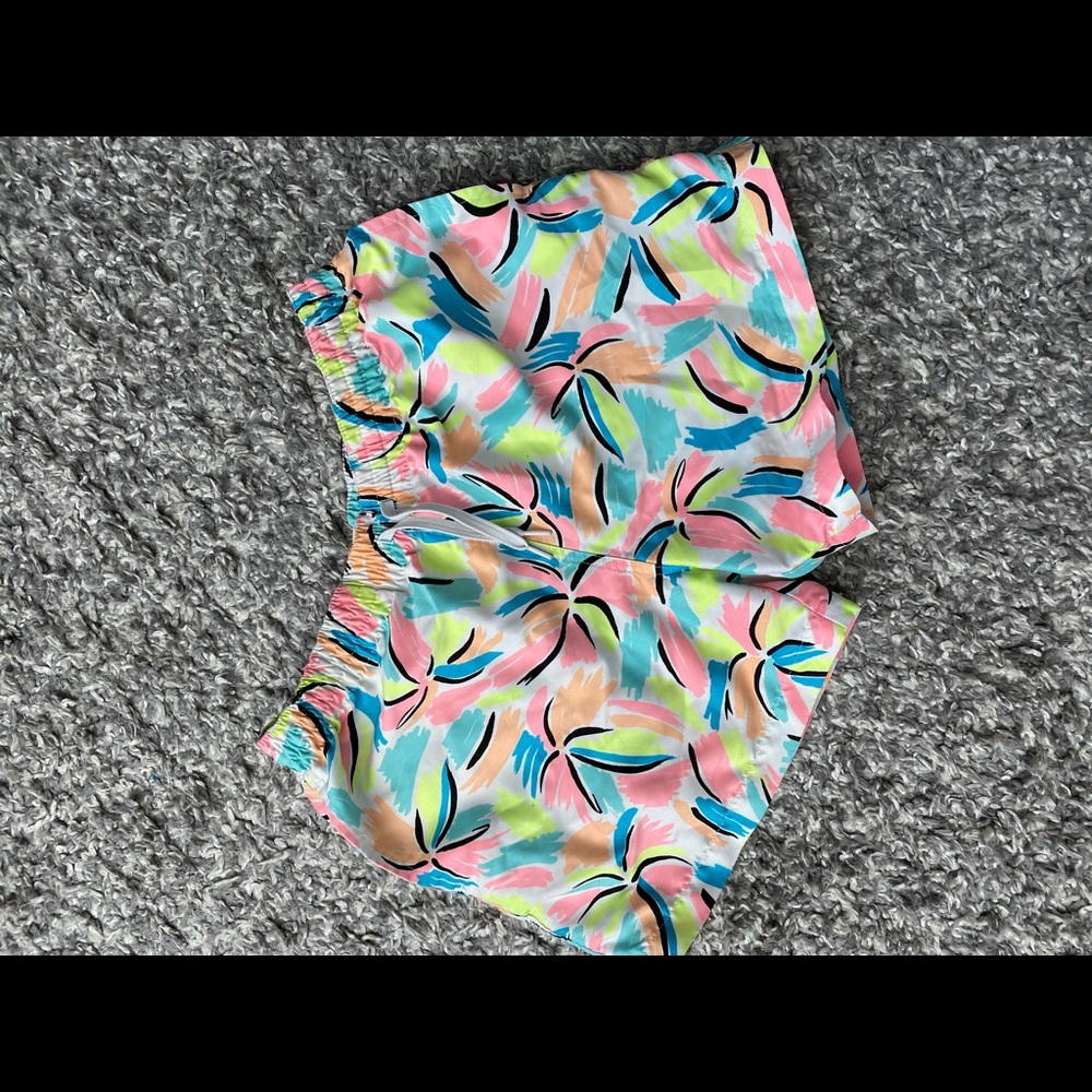 Chubbies Swim Trunks - Mens